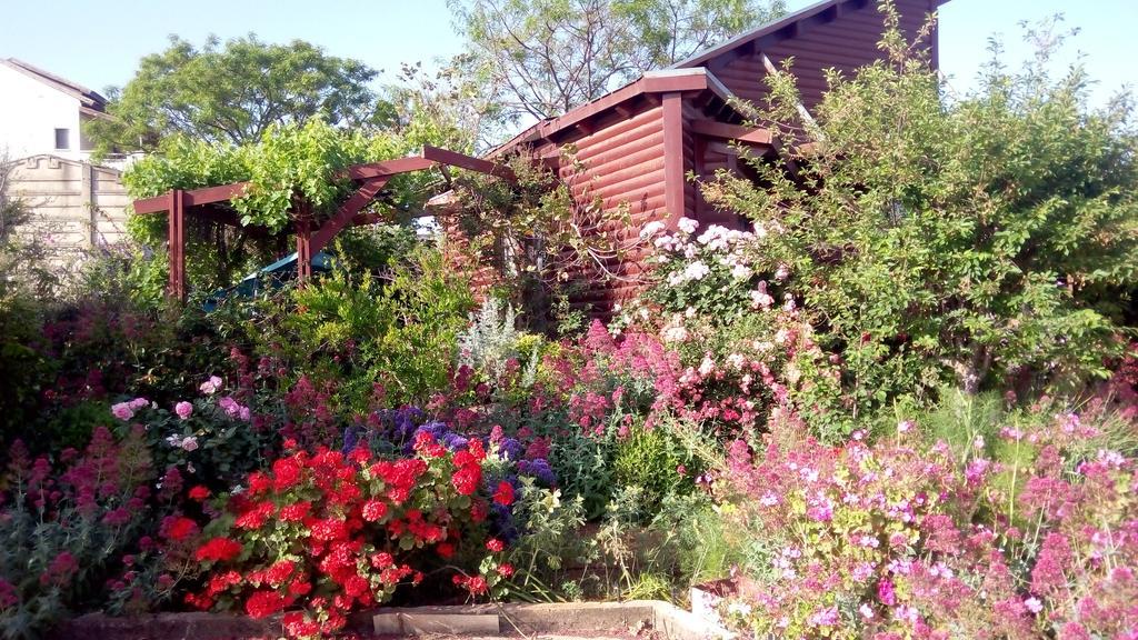 Villa Hahar Aatzil Hazon Esterno foto