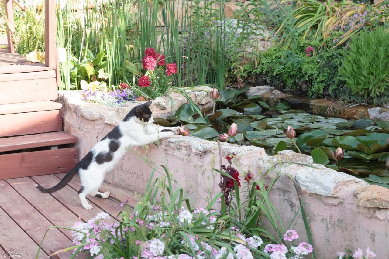 Villa Hahar Aatzil Hazon Esterno foto